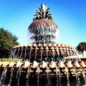 pineapple fountain charleston