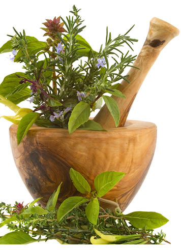 herbs in a bowl